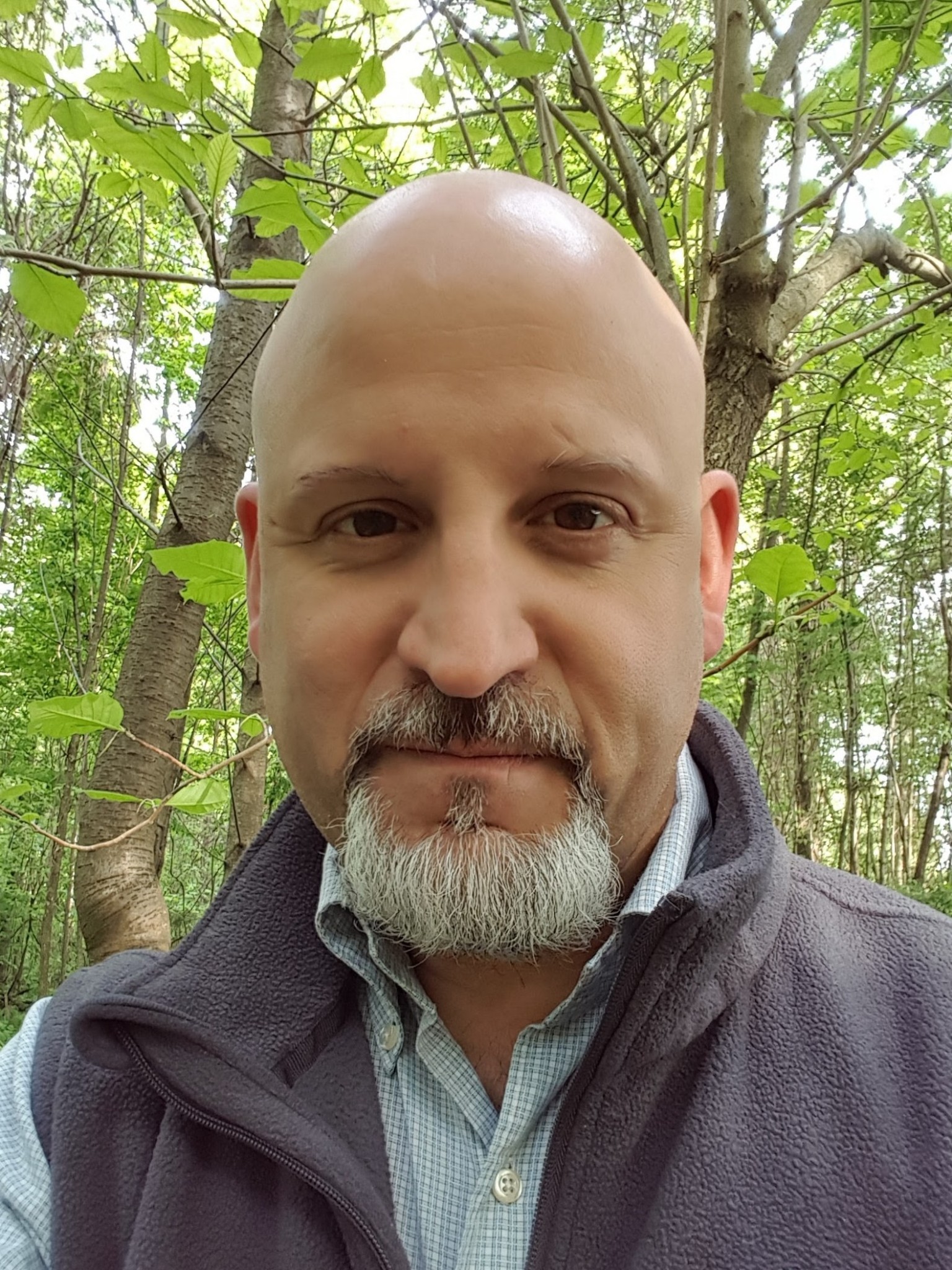 -1992253805649737521